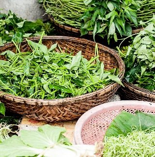 Herbs